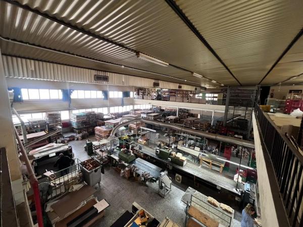 Nave en Algoda-Matola-Llano de San José