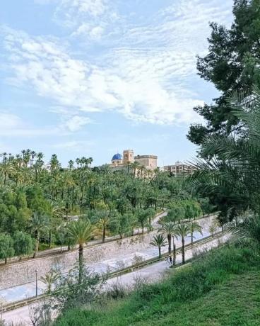 Local en calle Camilo Flammarion