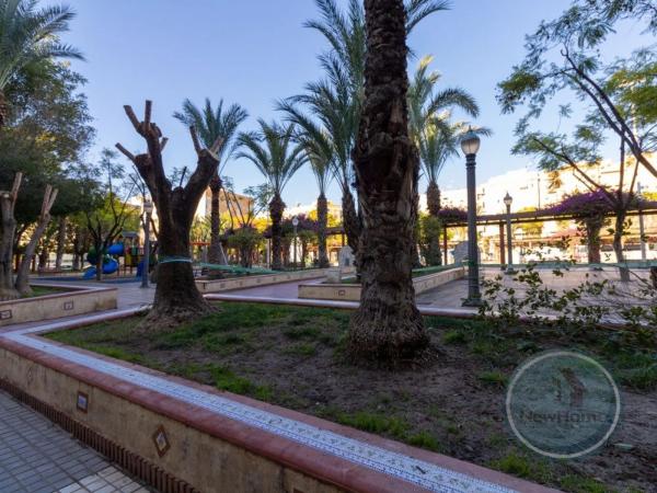 Local en Barrio Carrús Oeste