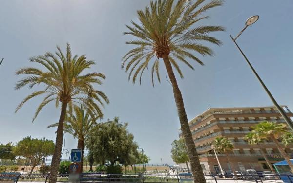 Local en avenida Alcalde Francisco Conejero Bas, 1