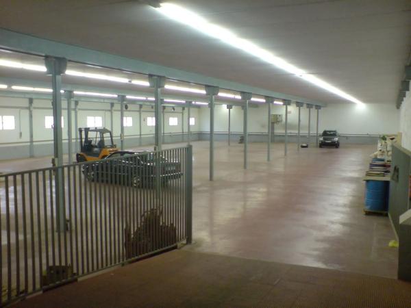 Nave en Callosa de segura, 32