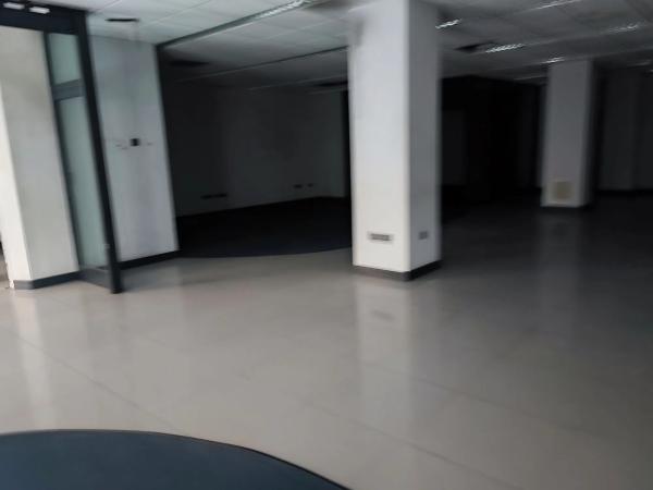 Local en avenida Nit Del Alba, 33