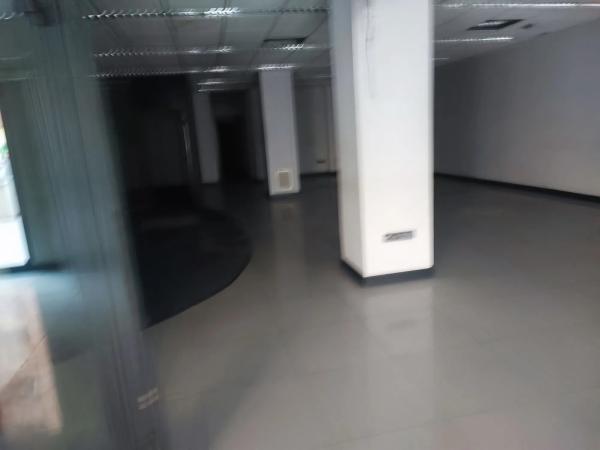 Local en avenida Nit Del Alba, 33