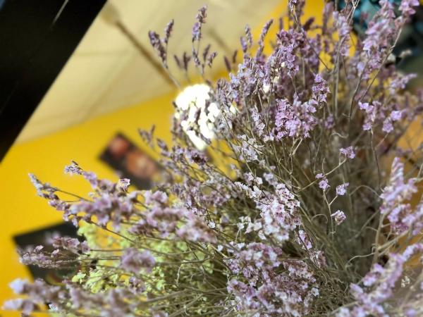 Local en Barrio Divina Pastora