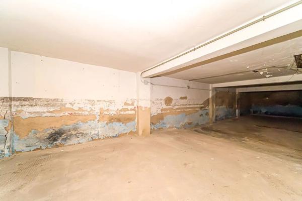 Local o nave en avenida Novelda