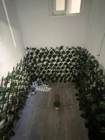 Local en calle Cardenal Payá