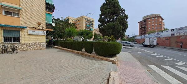 Local en avenida Ejércitos Españoles