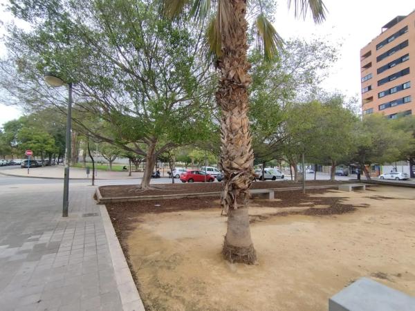 Local en calle Artista Foguerer