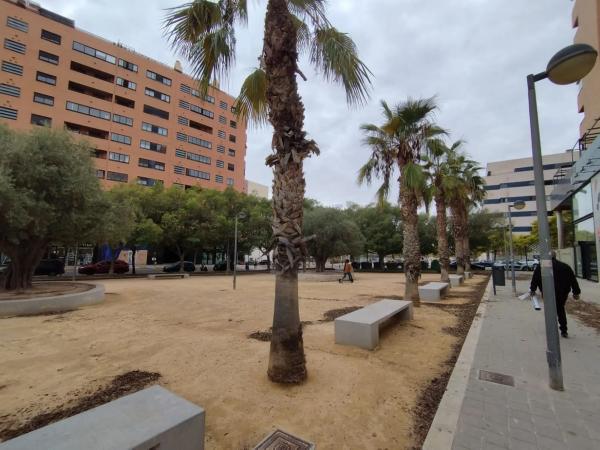 Local en calle Artista Foguerer