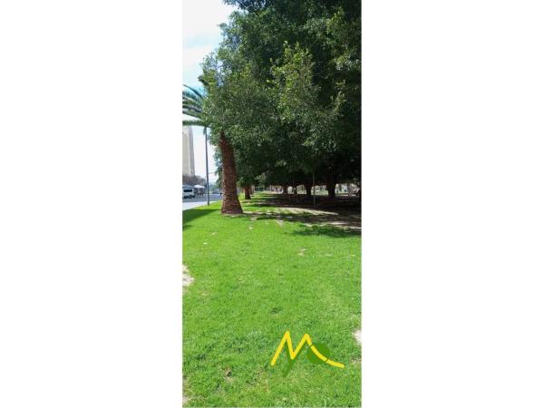 Local en avenida Historiador Vicente Ramos