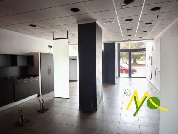 Local en avenida Historiador Vicente Ramos