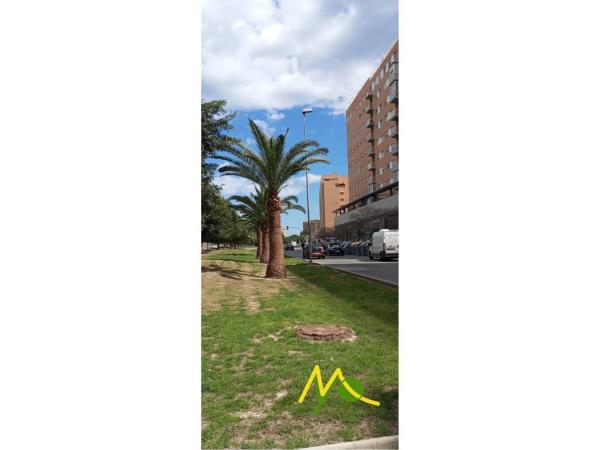 Local en avenida Historiador Vicente Ramos