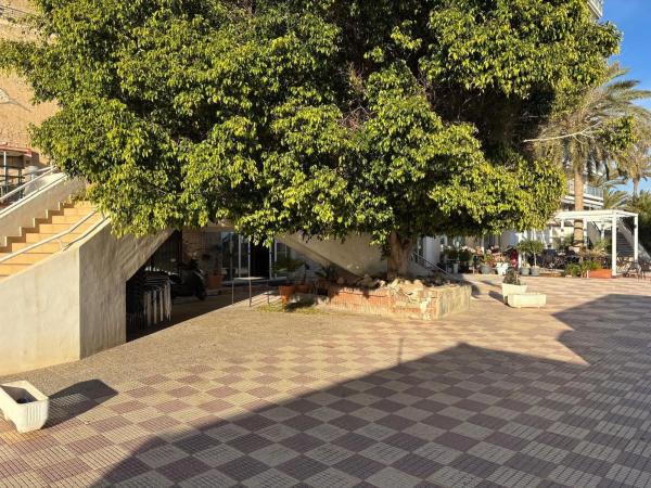 Local en rentabilidad en Barrio La Albufereta