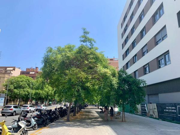 Local en avenida Catedratico Soler, 7