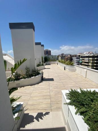 Local en avenida Catedratico Soler, 7