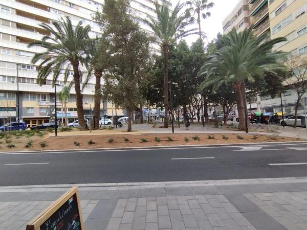 Local en calle Pintor Murillo