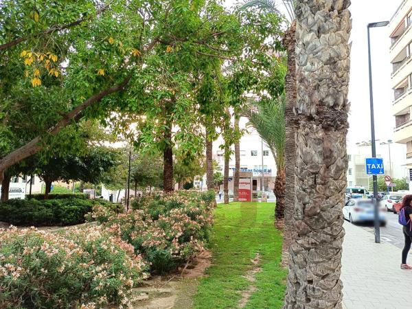 Local en plaza Doctor Gómez Ulla, 2