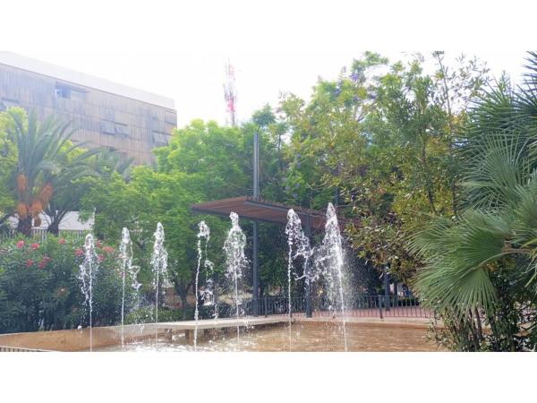 Local en Barrio Campoamor