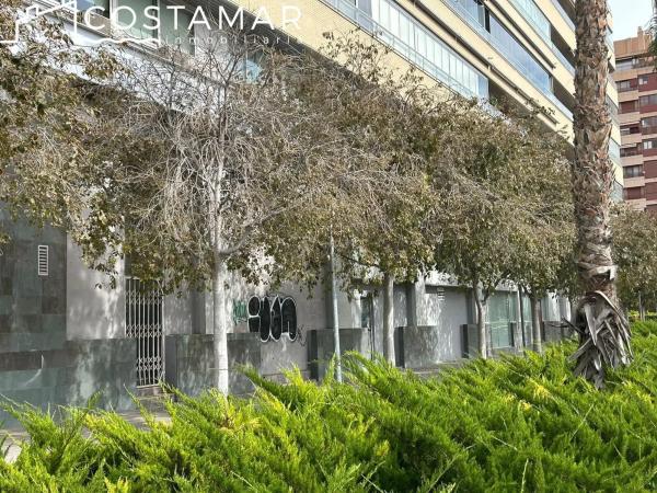 Local en calle Moratín, 23