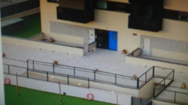 Local en calle Médico Eugenio de la Cruz, 1