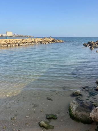 Local en calle Sol Naciente