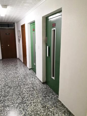 Local en calle Cardenal Belluga, 3