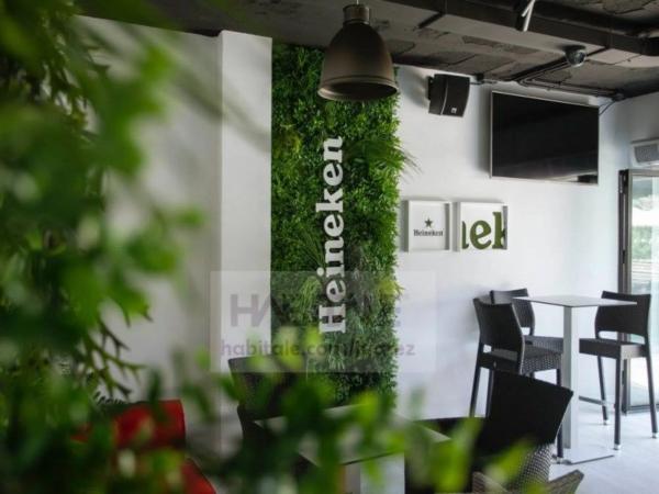 Local en Barrio Playa de San Juan