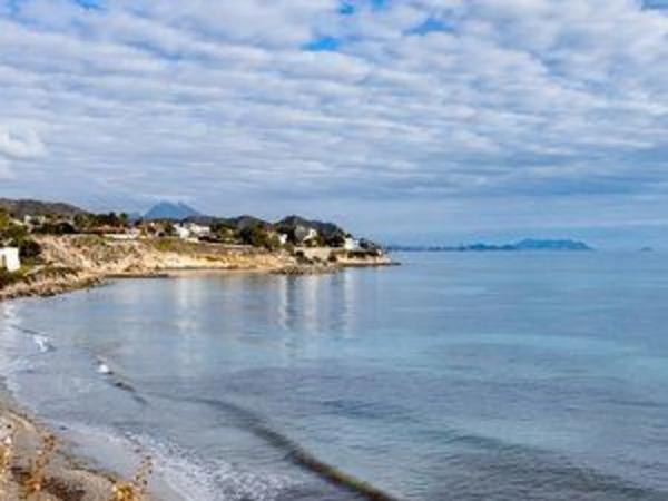 Local en de la Almadraba, 15