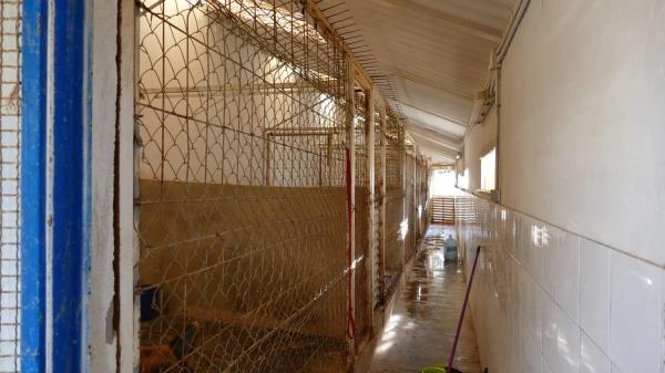 Local en carretera Aguas s/n Km 6