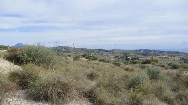 Local en carretera Aguas s/n Km 6