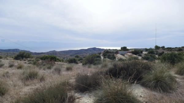 Local en carretera Aguas s/n Km 6