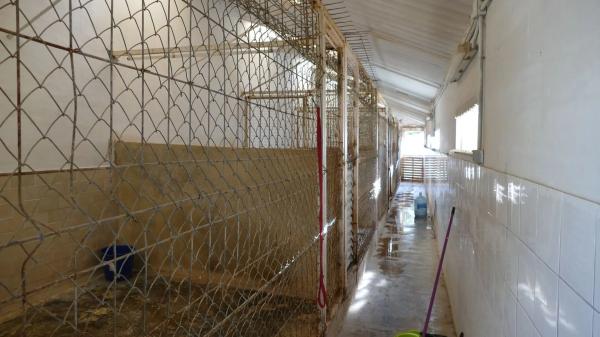 Local en carretera Aguas s/n Km 6