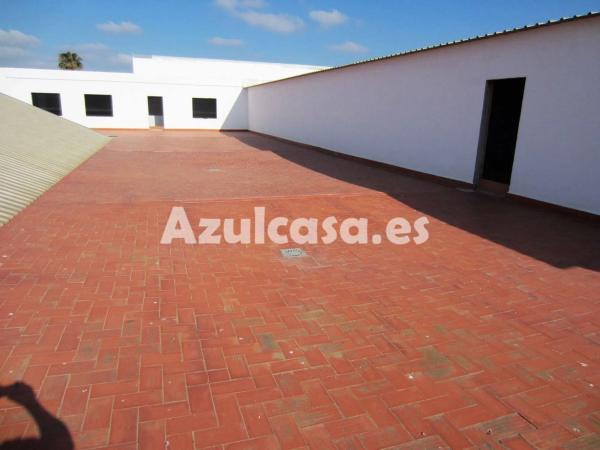 Local en Bellavista - Capiscol - Frank Espinós