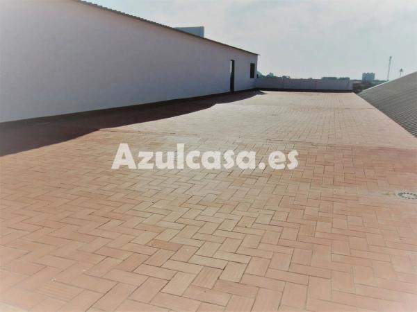 Local en Bellavista - Capiscol - Frank Espinós