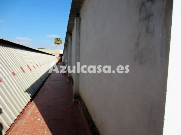 Local en Bellavista - Capiscol - Frank Espinós