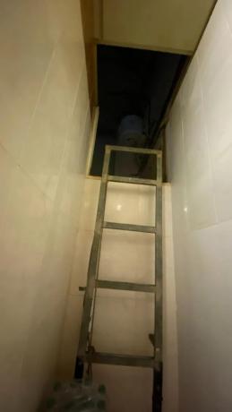 Local en Bellavista - Capiscol - Frank Espinós