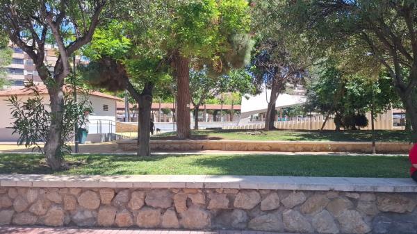 Local en calle Pérez Galdós