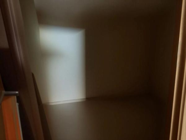 Local en Alcalde Felipe Mallol