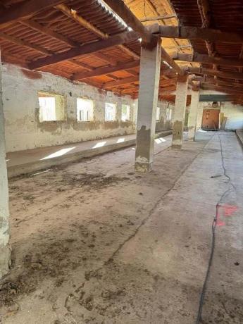 Nave en calle del Tenis