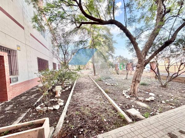 Nave en Alcalde Felipe Mallol