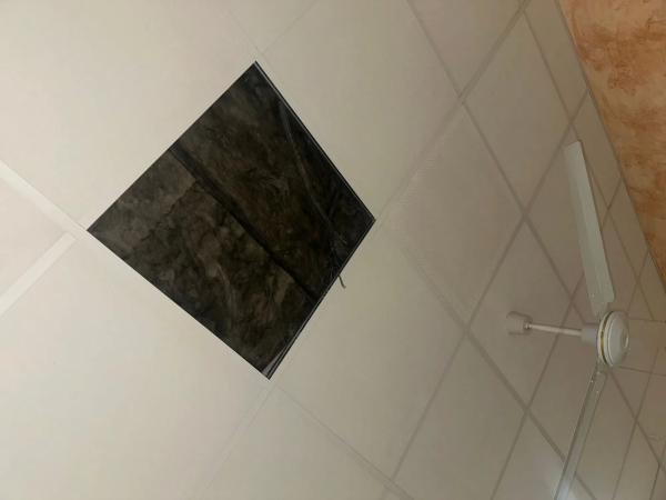 Local en calle Pardo Bazán s/n