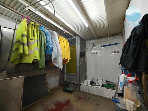 Nave en paseo la Estación, 8