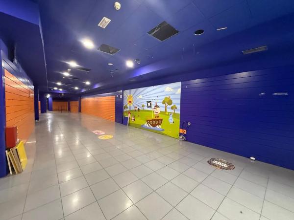 Local en alameda Camilo Sesto, 79