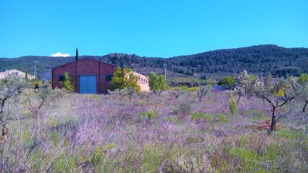 Nave en Pda Bovar s/n