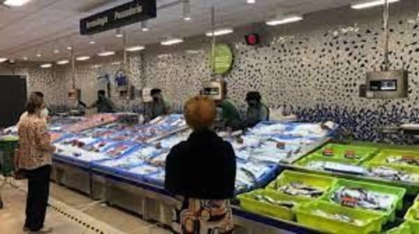 Local en rentabilidad en Castalla