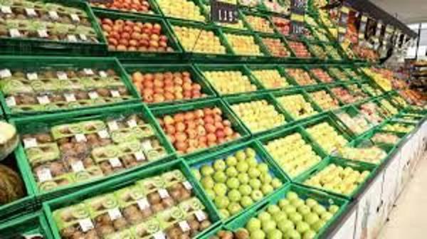 Local en rentabilidad en Castalla