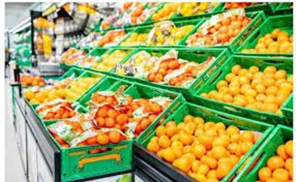 Local en rentabilidad en Castalla