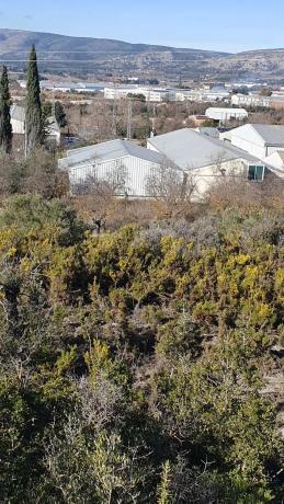 Nave en calle Jesualdo Ferrero, 30