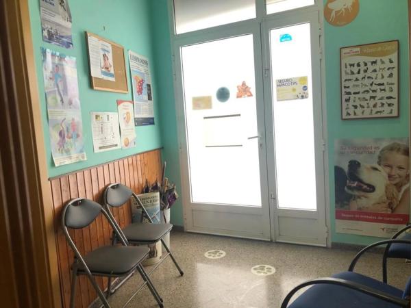 Local en calle els Realets, 2