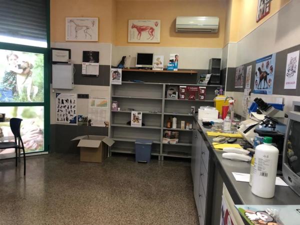 Local en calle els Realets, 2